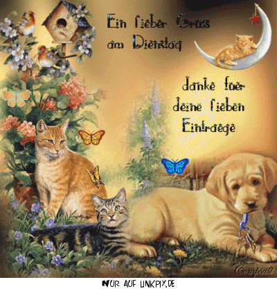 dienstag bilder gratis 