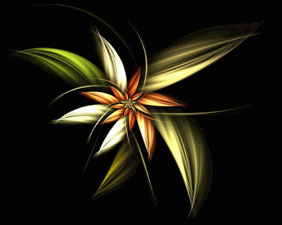 Blumen 